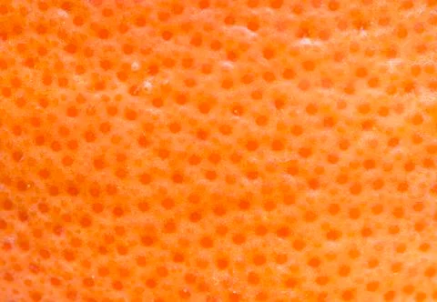 Orange skin Stock Photos