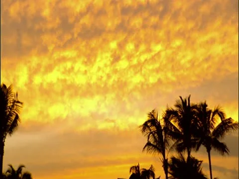 Orange Sky After Sunset Stock-Footage 22244397