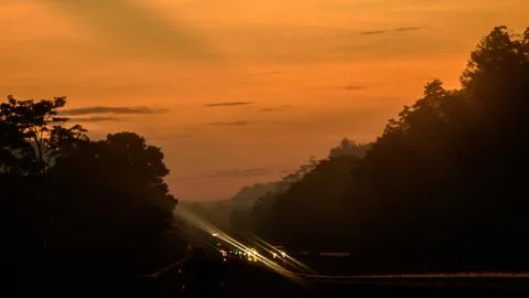 Orange sky and the silhouetted trees in the expressway morning, vehicle hea.. Stock Photos