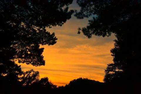 Orange sky Foto stock