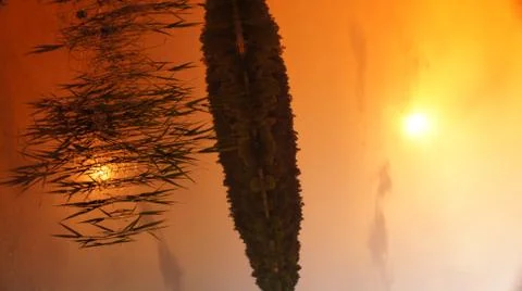 Orange Sky Stock-Fotos