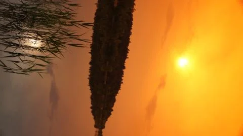 Orange Sky Stock Photos