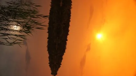 Orange Sky Stock Photos
