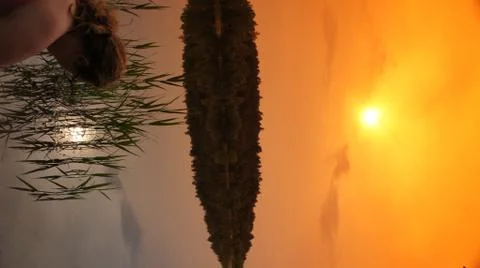 Orange Sky Stock-Fotos