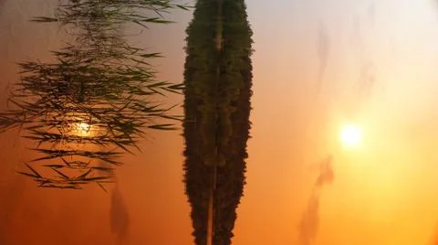 Orange Sky Stock Photos