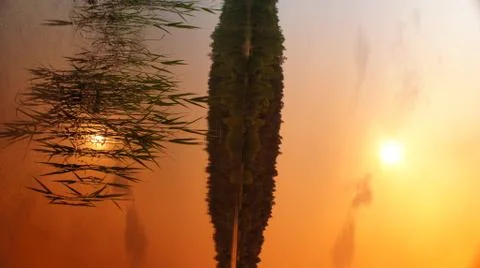 Orange Sky Stock Photos