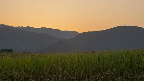 Orange sky of a sunset between mountains and a corn field. Stock Photos