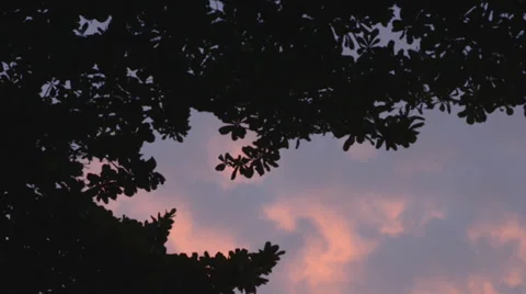 Orange Sky - Sunset in Rio de Janeiro Stock Footage 32233105