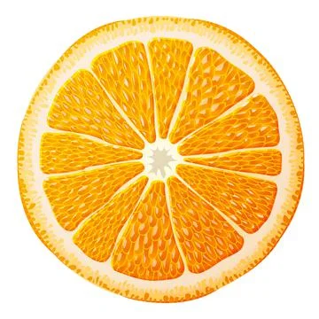 Orange slice close up Stock Illustration