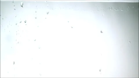 Orange slice Stock Footage 141948369