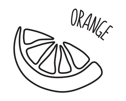 Orange slice hand drawn with thin line Stock Illustration