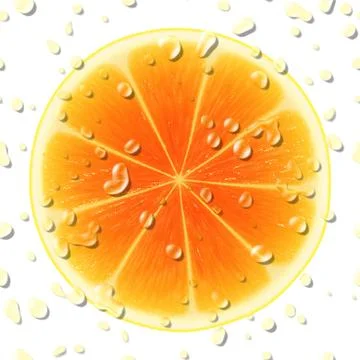 Orange slice Stock Illustration