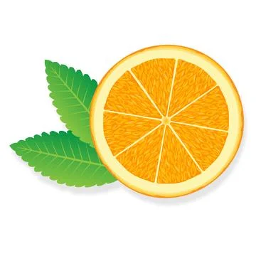 Orange slice illustration for web isolated on white background Illustrazione stock