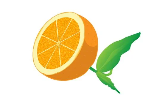 Orange slice isolated on white background Illustrazione stock
