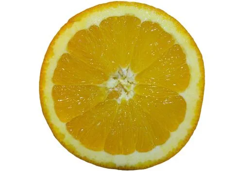 Orange slice isolated on white background 库存照片