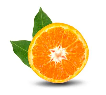 Orange slice isolated on white Stock Photos