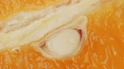 Orange slice segment close up rotating camera motion stock footage Stock Footage 337095426