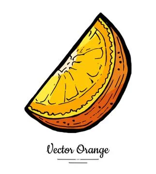 Orange slice vector isolated. Cut chopped orange, slice, lemon slice. Fruit c Stock Illustration