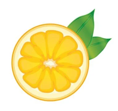 Orange sliced fruit Stock Illustration