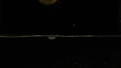 Orange slices falling into water in slow motion Stock Footage 88799159