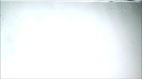 Orange slices Stock Footage 141948124