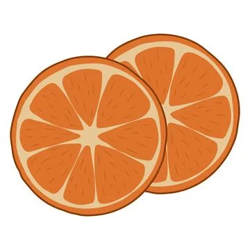 Orange slices. vector illustration on a white background Stock Illustration