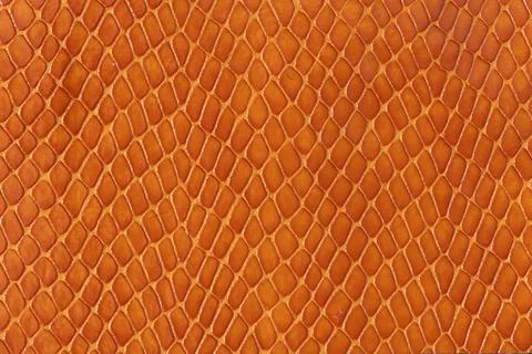 Orange Snake Skin Texture Pattern Stock Photos