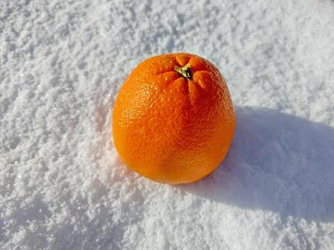 Orange on the snow - fruit Foto stock