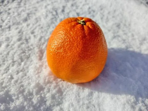 Orange on the snow - fruit Stock Photos