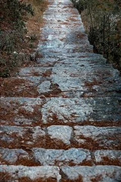 Orange sofa upholstery pattern, texture background. Stock Photos