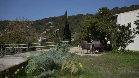 Orange in Soller, Mallorca, Spain Vídeos de archivo 248333363