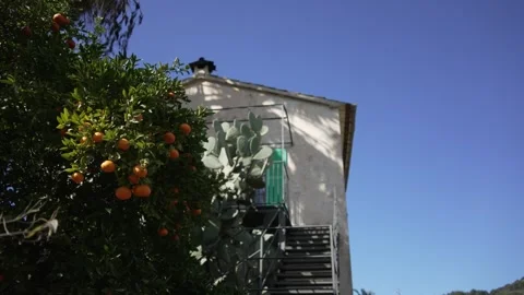 Orange in Soller, Mallorca, Spain Vídeos de archivo 248334380