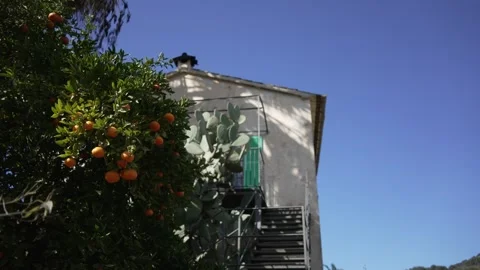Orange in Soller, Mallorca, Spain Stock Footage 248334383