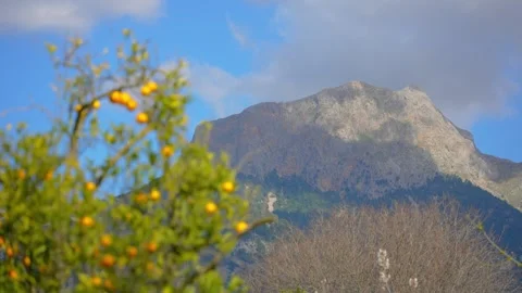 Orange in Soller, Mallorca, Spain Vídeos de archivo 248353175