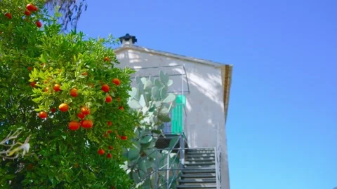 Orange in Soller, Mallorca, Spain Vídeos de archivo 248353309