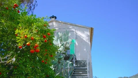 Orange in Soller, Mallorca, Spain Vídeos de archivo 248353354