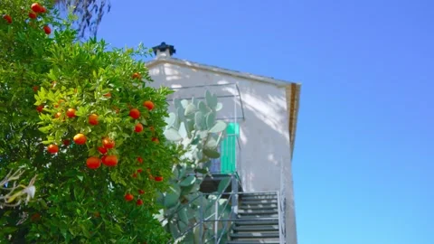 Orange in Soller, Mallorca, Spain 스톡 동영상 248353358
