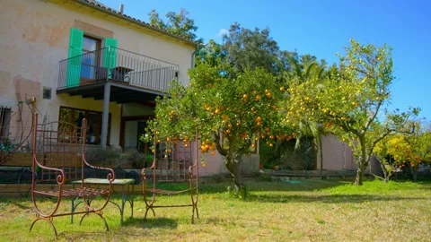 Orange in Soller, Mallorca, Spain Stock Footage 248354951