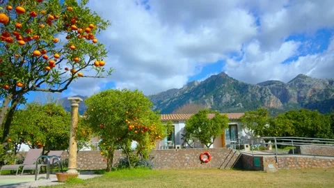 Orange in Soller, Mallorca, Spain Vídeos de archivo 248356562