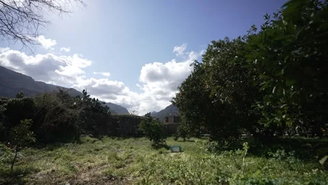 Orange in Soller, Mallorca, Spain Vídeos de archivo 248359172