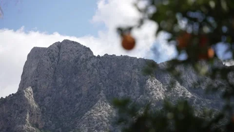 Orange in Soller, Mallorca, Spain Vídeos de archivo 248361289