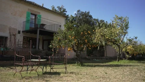 Orange in Soller, Mallorca, Spain Vídeos de archivo 248362470