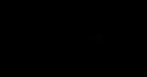 Orange Spark Burst Energy Source Spot On Black Screen Asset Vídeo Stock 331333282