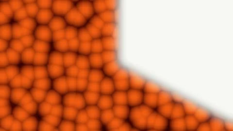 Orange spheres forming abstract star shape with black bars during animation Stock Footage 341543875