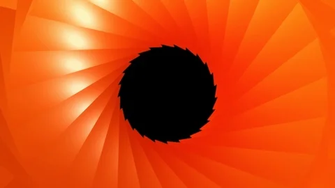 Orange spike flower Stock-Footage 98272246