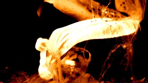 Orange Spring Flowers In Fast Motion On Inspirational Footage Stock Footage 103590930