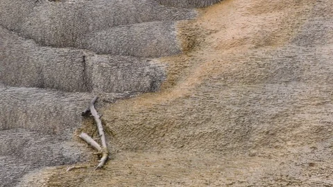 Orange Spring mound, Geothermal feature, Yellowstone NP WY USA Stock Footage 94706491