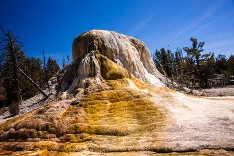 Orange Spring Mound Geyser Stock Photos