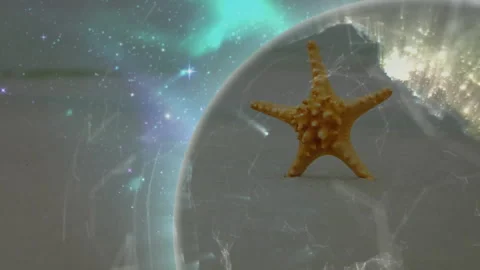 Orange starfish-like shape standing upright in 3D render with translucent dome Stock Footage 308152245