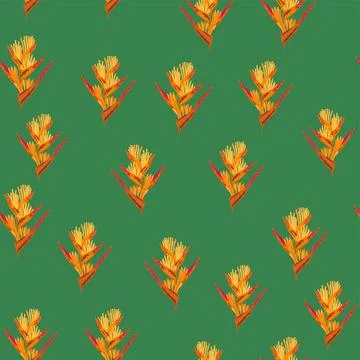 Orange Strelitzia flower pattern design with leaves and stem, calla lilies,.. Stockillustratie